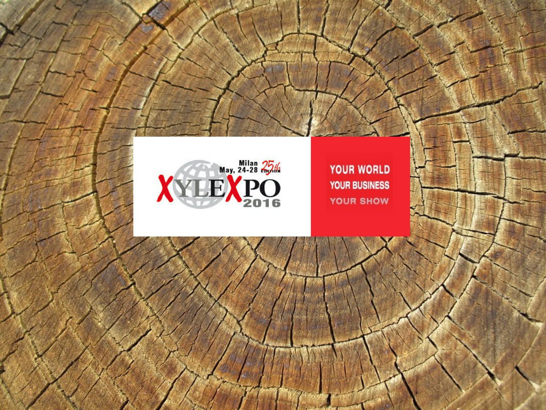 Xylexpo: biennale mondiale delle tecnologie per la lavorazione del legno